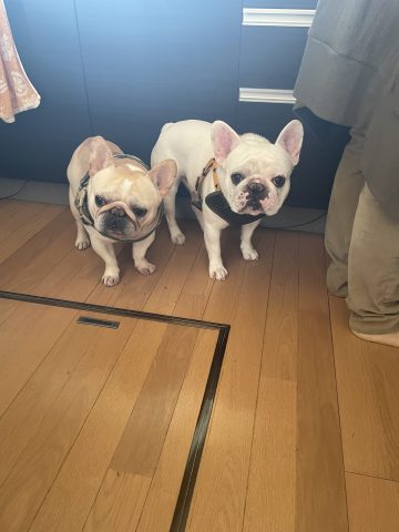 よろしくお願いいたします！