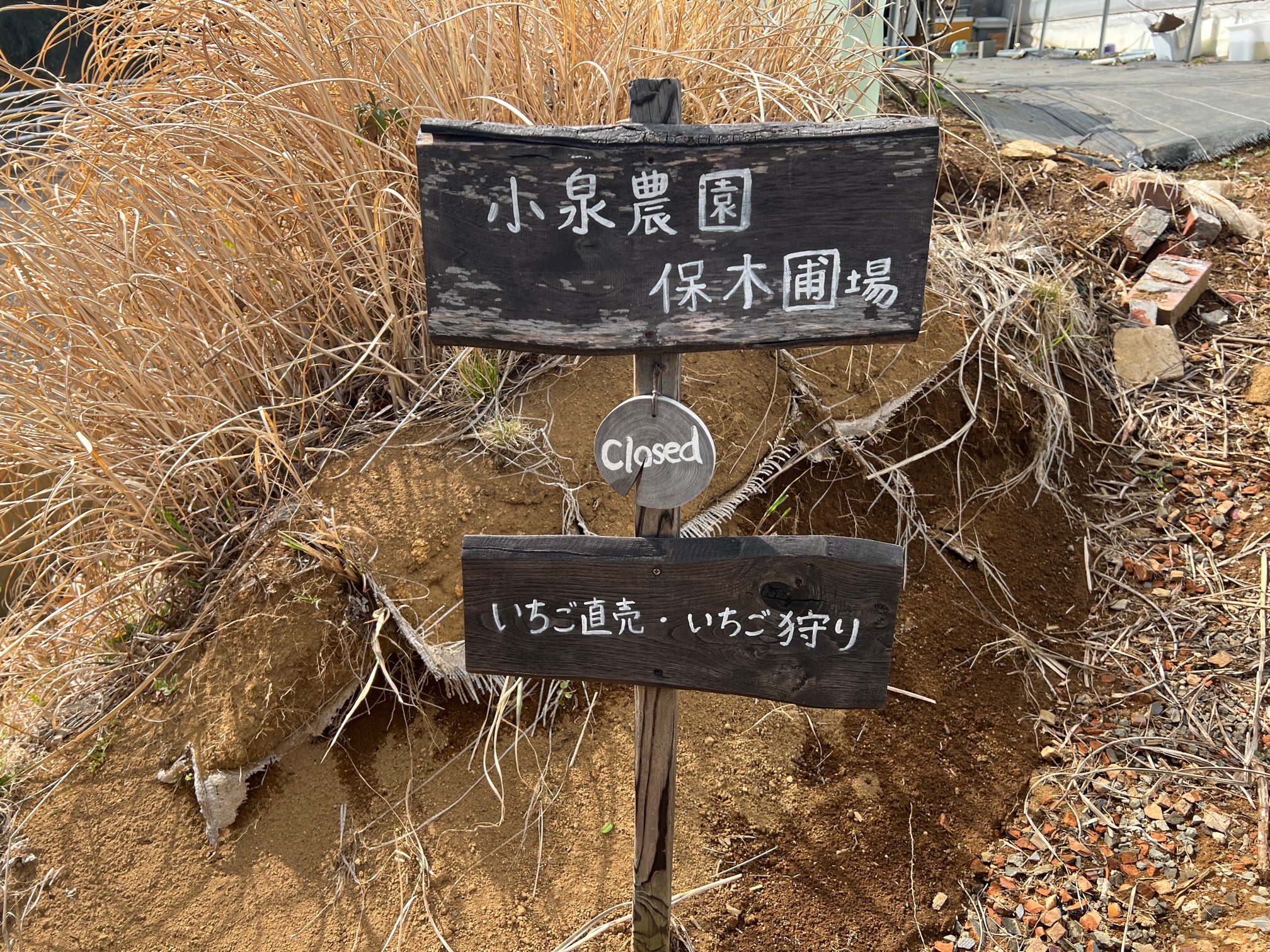 画像に alt 属性が指定されていません。ファイル名: IMG_3283.jpg